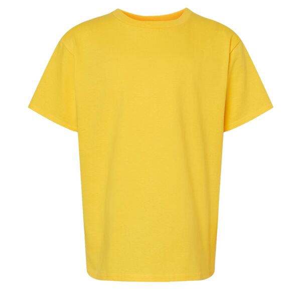 Softstyle® Youth Midweight T-Shirt Thumbnail
